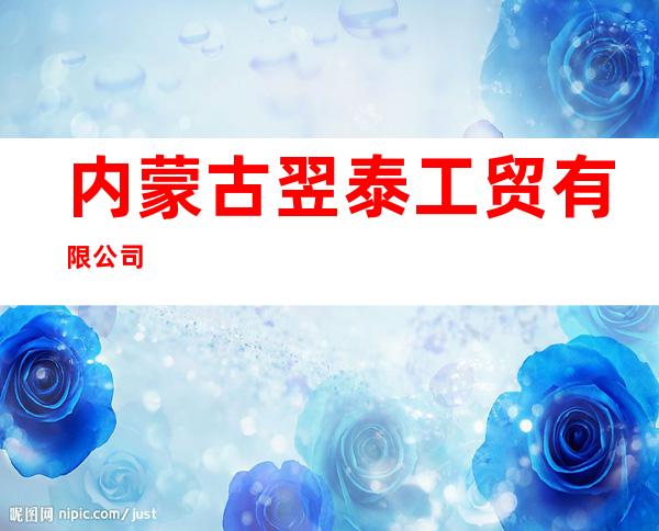 内蒙古翌泰工贸有限公司